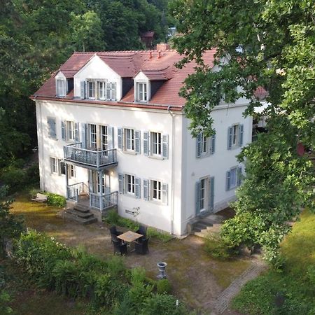 Villa Im Park Wachwitzgrund Dresde Extérieur photo