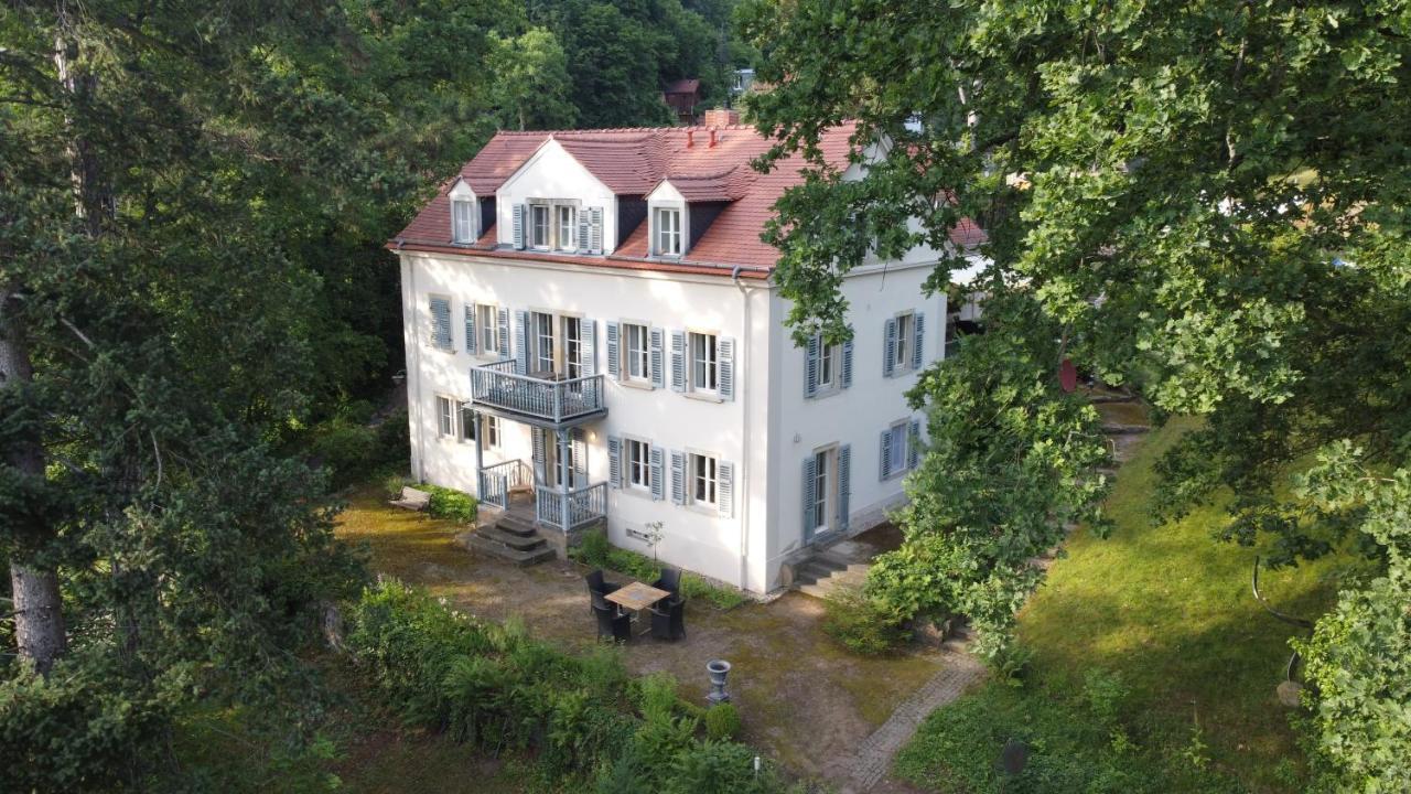 Villa Im Park Wachwitzgrund Dresde Extérieur photo