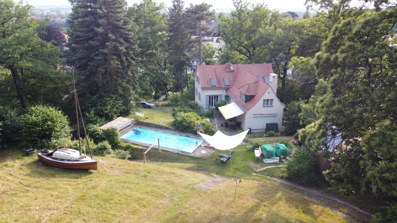 Villa Im Park Wachwitzgrund Dresde Extérieur photo