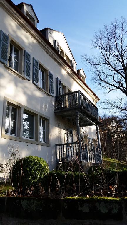 Villa Im Park Wachwitzgrund Dresde Extérieur photo