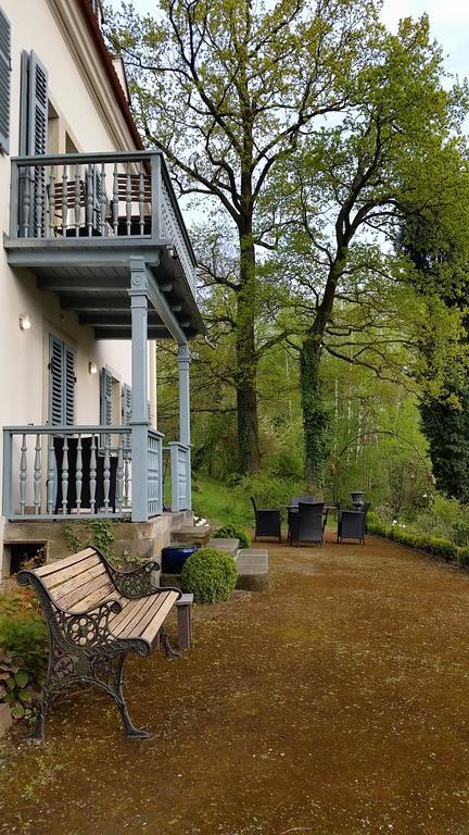 Villa Im Park Wachwitzgrund Dresde Extérieur photo